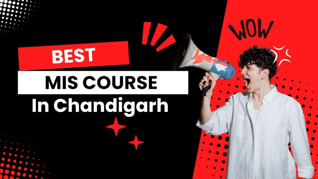 Best MIS Course in Chandigarh