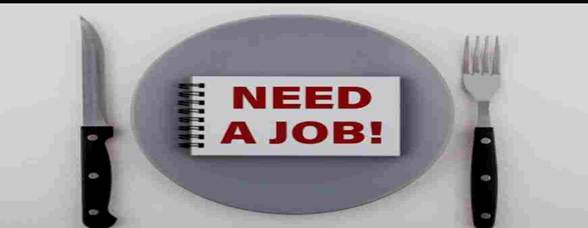 placement services in Greater Noida 